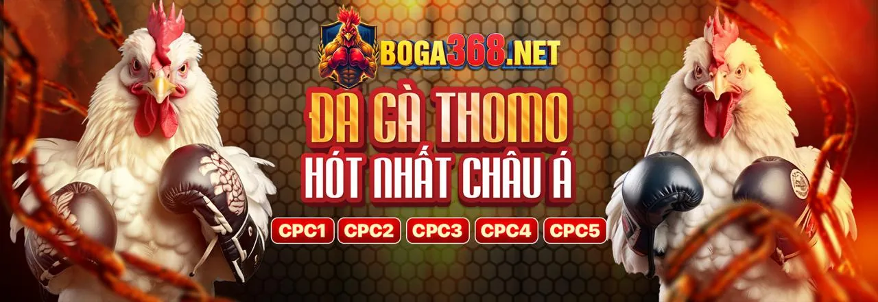 Banner khuyến mãi tải ứng dụng cat88 link vào